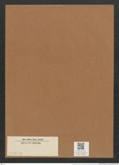 Diatomeae indet. (de-Toni-Nr.: Species 3036 var) Zeichnungen Sammlung Grunow Mappe 03256 (Herbarium_W_Grunow_drawings_Folder_03256)